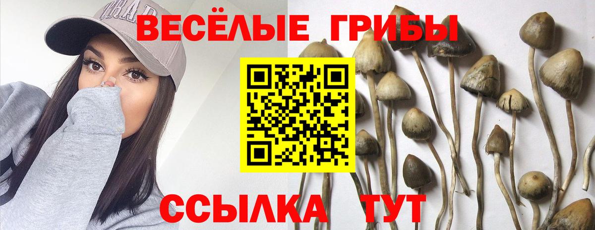 Вязьма  Галлюциногенные грибы мухоморы  Галлюциногенные грибы ЛСД  Вход с VPN 