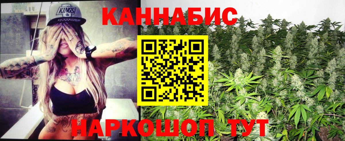 Вязьма  Конопля план  Конопля Amnesia  Вход с VPN  Конопля индика  Шишки марихуана сатива 